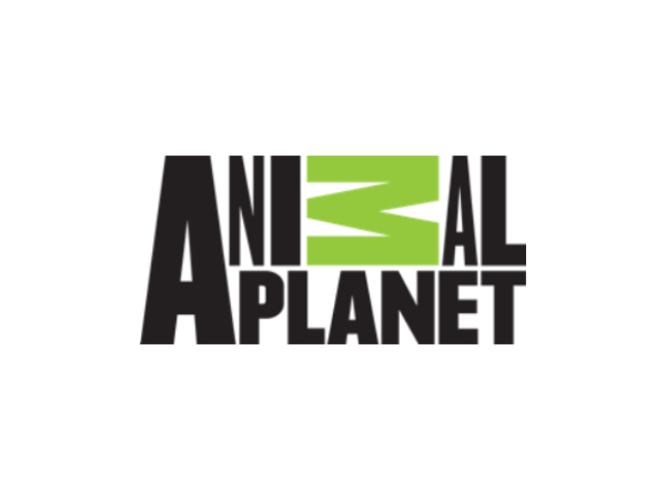 Animal Planet